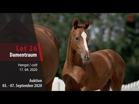 Online-Auktion v. 03. - 07.09.2020 Lot 26 Damentraum Hengst v. Danestos - Wild Dance