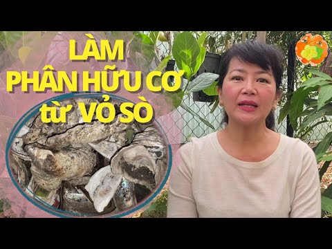 Cách làm phân hữu cơ giàu canxi từ vỏ Nghêu Sò Ốc Hến giúp trái ngọt hơn @vuonhuuco