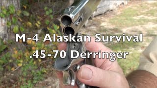 .45-70 Derringer Shooting