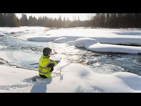 Going forward with the Ikkari Project - Environmental Manager Anniina Salonen