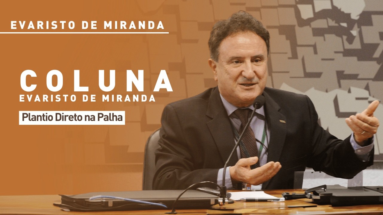 Evaristo de Miranda: Plantio direto na palha