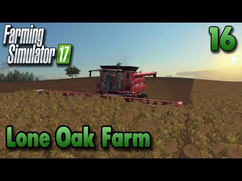 FS17 Timelapse - Lone Oak Farm #16 | Mega Sunflower Harvest | Gameplay