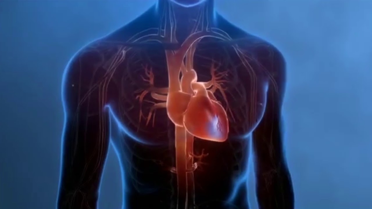 Enrique Alcázar De La Torre-15