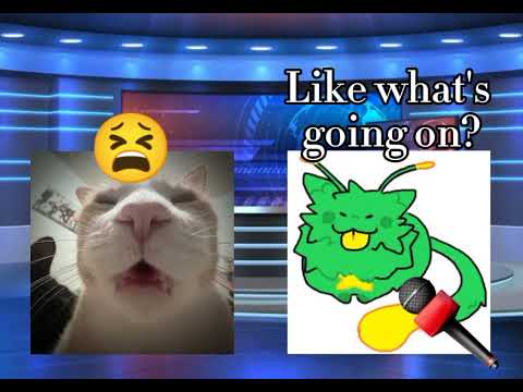 Jamal? JAMAL? JAMAL NOOOOO #video #cats