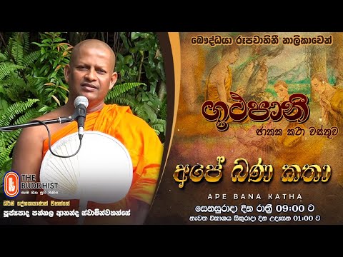 Ape Bana Katha | අපේ බණ කතා | Ven Pannala Ananda Thero | 2024-04-27 | ගූථපානී ජාතක කථා වස්තුව