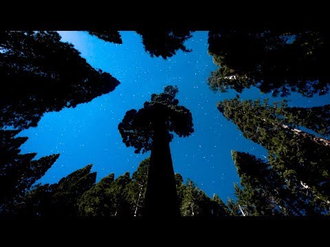 Vacationer - Being Here (Official Video)