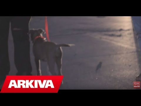 Dennis Kallo & Latif Bajra - Damian style (Official Video HD)