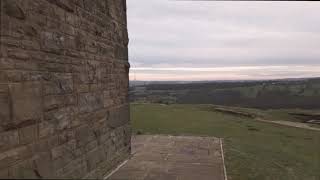 Bird as Prophet - Fortune (Midlake cover)