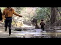 Mother Falcon - Marigold (Official Music Video) 