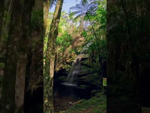 Serra do Funil - Rio Preto MG (Cachoeira do Café)