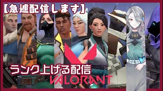 【みんなで！】初心者VALORANTでパーティー配信【Vtuber】