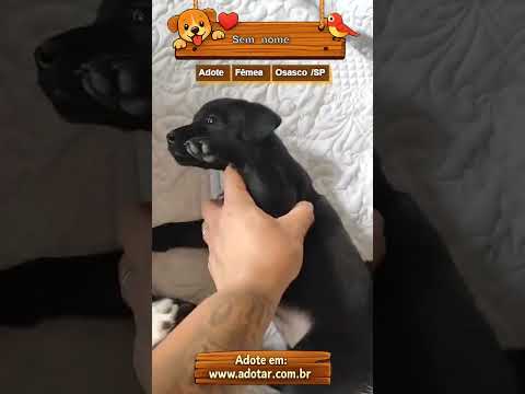 Vídeo de Sem nome