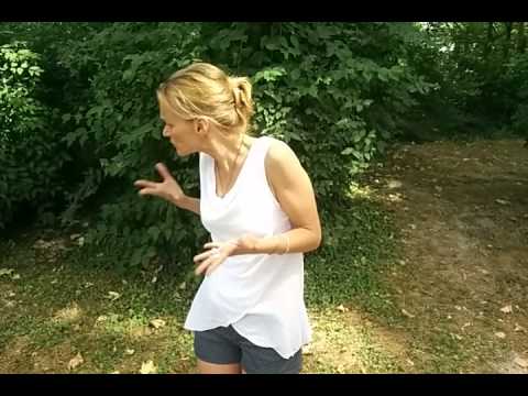 How to Sign British Sign Language Course Cost in BSL