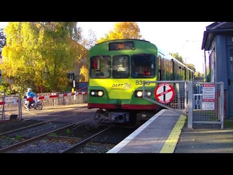 Sydney Parade Level Crossing - IE 8300 Class Dart Train