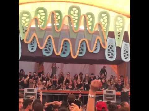 Marco Carola on 1st May 2016 in Mamaia @ Sunwaves 19