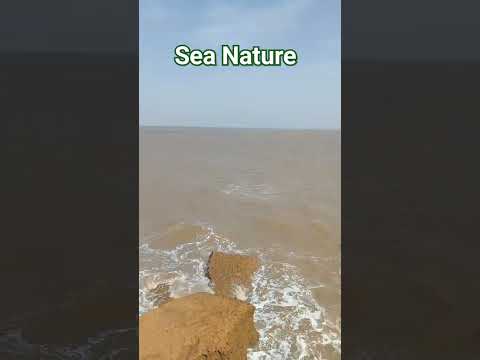 ⛱️Sarkeswar Mahadev Beach view||સમુદ્ર ની મોજ|||સમુદ્ર ના વિડિયો ||