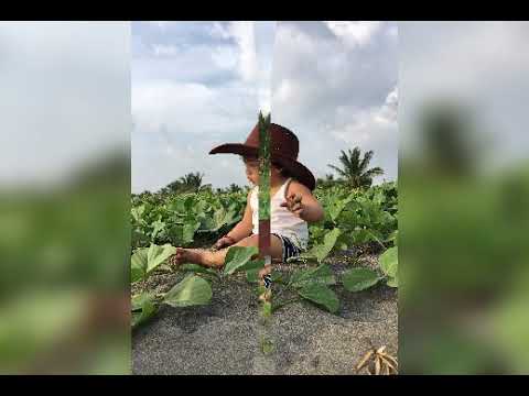 on the beach Neville🏞🏜🏖