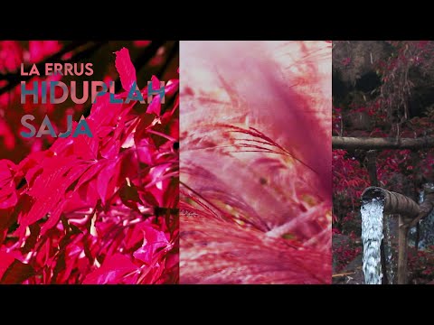 La Errus || Hiduplah Saja || Lyric video