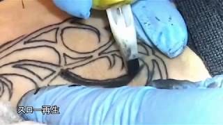 刺青・タトゥーを彫ってる所をスロー再生してみた