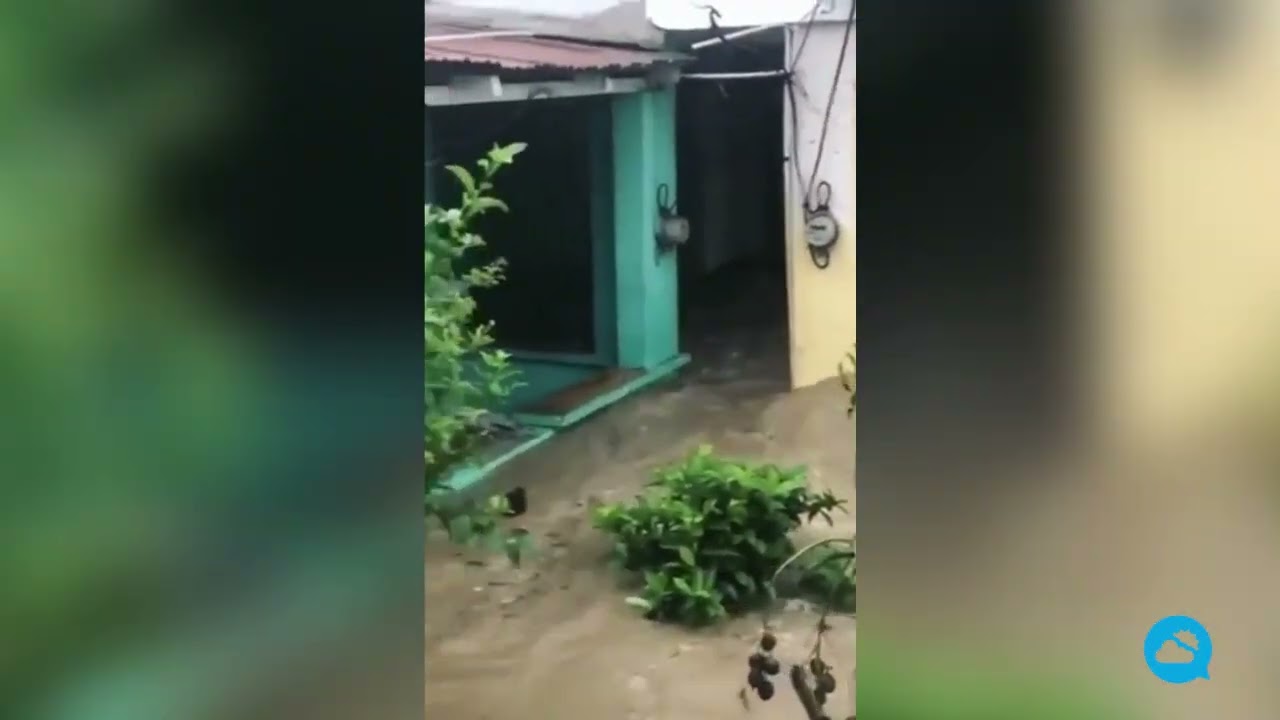 youtube video id=nb1goZo5oec