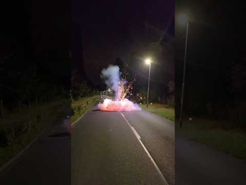 GIGANT MAROON XXL FIRECRACKER