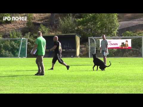 FCI IPO NM 2014 Tribute