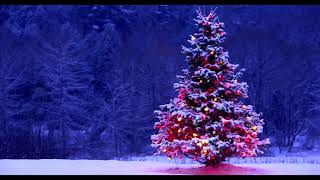 Bring The Snow (HD AUDIO) - Princess Switch