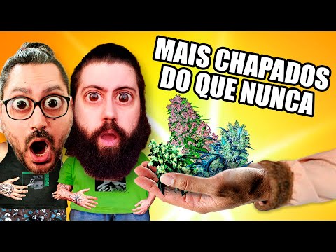 Conteúdo Digital — Criação e Edição | Jonas Almeida