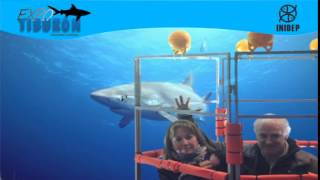 DIA 3 Expo Tiburon166