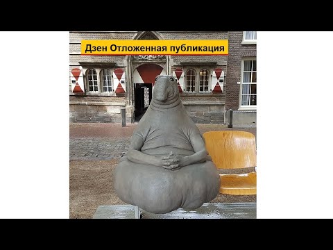 Все в кучу видео на дзене
