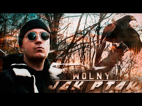 ZBUKU - Wolny Jak Ptak (prod. Json)