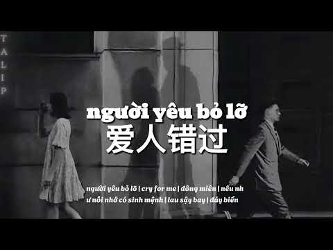 [playlist nhạc  ]  người yêu bỏ lỡ , cry for me , đông miên , nếu như nỗi nhớ có sinh mệnh...