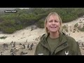 Bizna Kenya 3 Video thumbnail