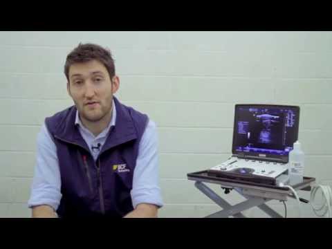 IMV imaging Technology Ultrasonography of the Distal Limb video 14 - Summary