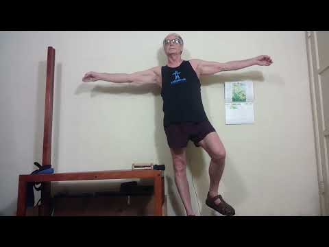 Rooster Stands On One Leg!...Jin Ji Du Li in Chinese!