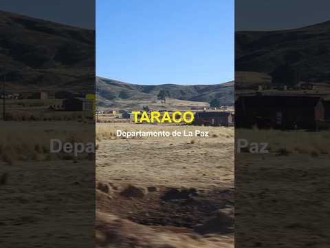 Taraco: Un destino por descubrir en el corazón del departamento de La Paz
