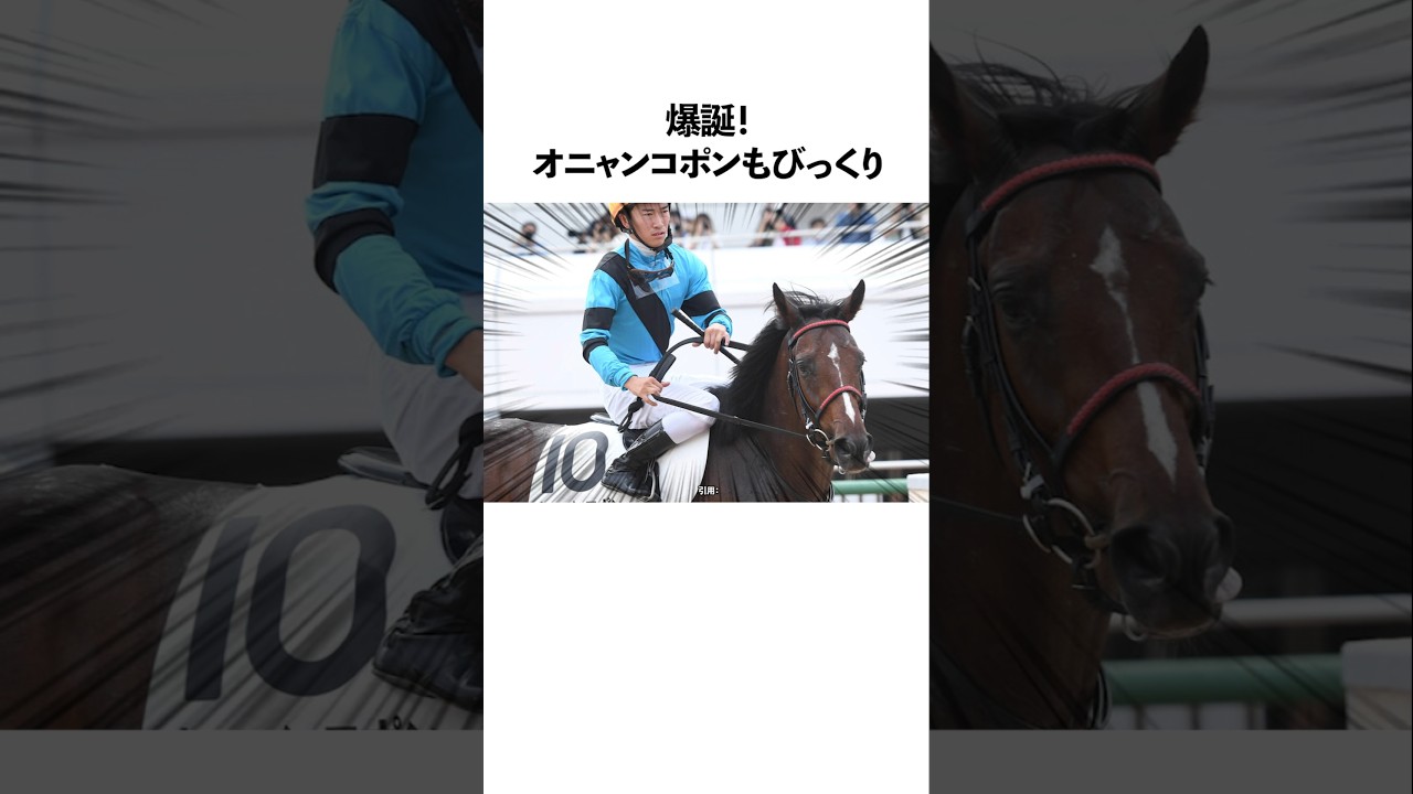 爆弾オニャンコポンもびっくり国枝厩務員見参…