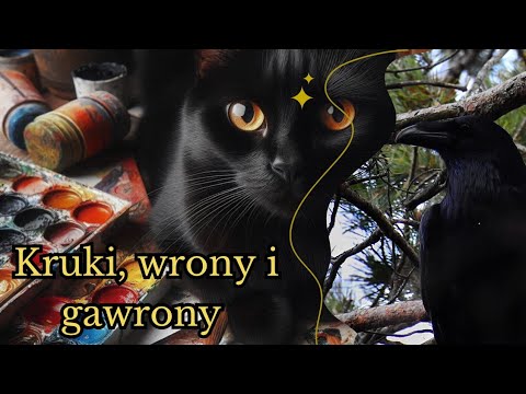 Czy to kruk czy wrona - czyli o naszych krukowatych.
