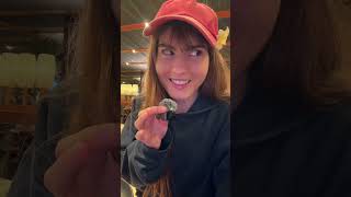 EXTREME CRUISE SERIES: Ship 6: Worlds Worst Rated Cruise Review- Margaritaville in Paradise🌴 Day 1: