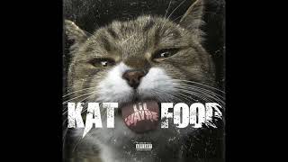 Lil Wayne - Kat Food (OFFICIAL INSTRUMENTAL)