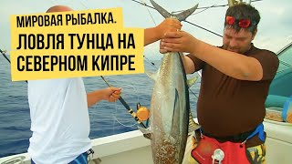 Снасти для ловли тунца в нигерии