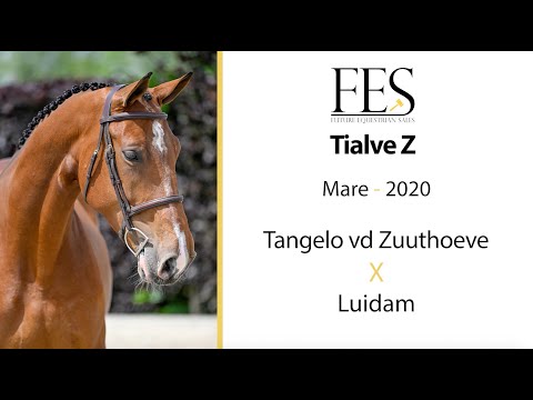 showvideo