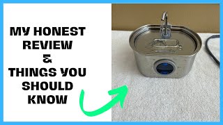 The BEST Cat Water Fountain You’ll Ever Buy (Neareal Review)