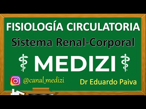 Class 29 Circulatory Physiology - Renal-Body Fluid System (IG:@doctor.paiva)