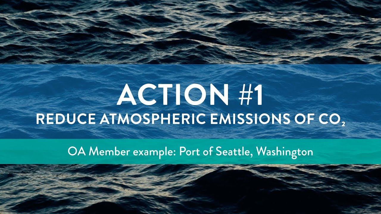 OA Action Plan - Action 1 Port of Seattle