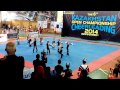 6-ой чемпионат по черлидингу Tetcheer 2014 