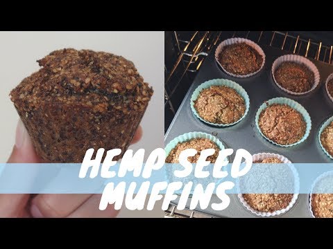 download lagu mp3 mp4 Hemp Flour Muffin Recipes, download lagu Hemp Flour Muffin Recipes gratis, unduh video klip Hemp Flour Muffin Recipes