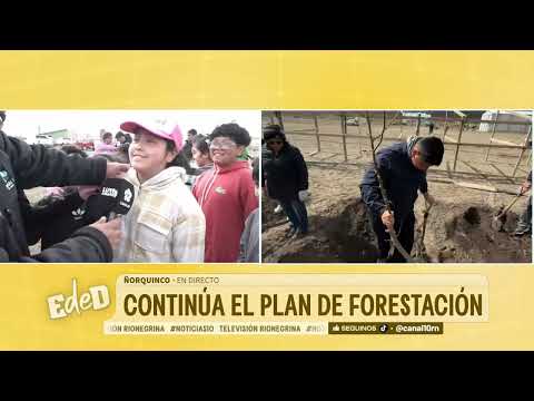 En directo desde Ñorquincó, continúa el Plan de Forestación