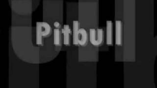 Pitbull - Give Me A Bottle ((2009))