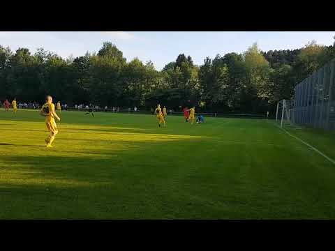 TSV Schornbach - SV Fellbach 1:0